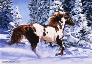 Kůň ve sněhu