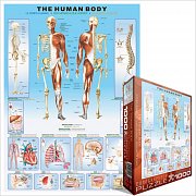 Lidské tělo