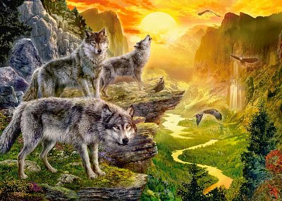 Údolí vlků