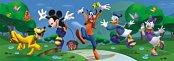 Mickeyho klubík: Hurá do parku