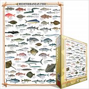 Ryby Středozemního moře