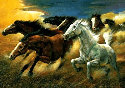 Sedm divokých Koní