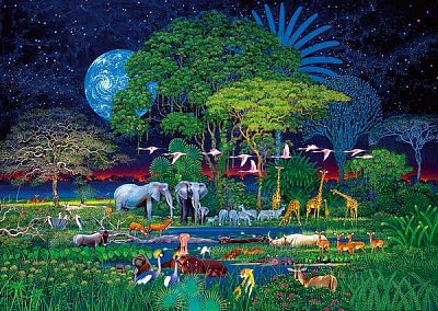 Zvířata z džungle