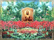Buddha s lotusy