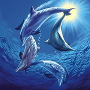 Delfíní hra