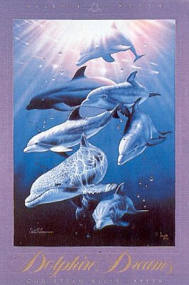 Delfíní sny