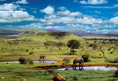 Národní park Tsavo, Kenya
