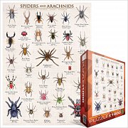Pavouci, pavoukovci a tarantule 