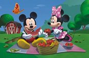 Mickey Mouse na pikniku