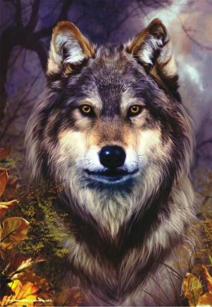 Vlk - Puzzle-prodej.cz